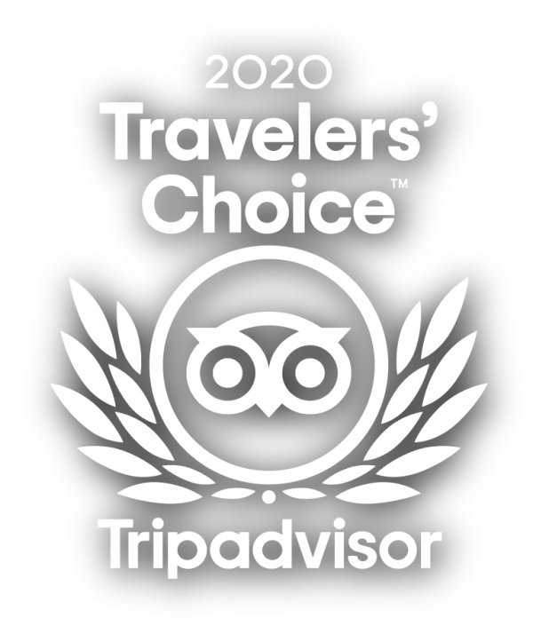 Home Manuel Antonio Surf School