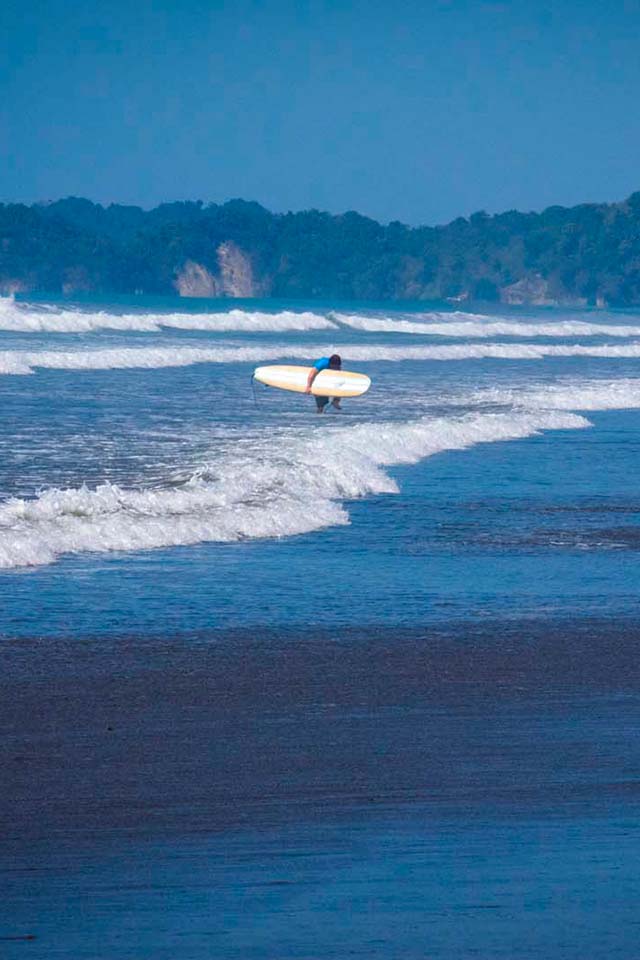 dominical_full_day4