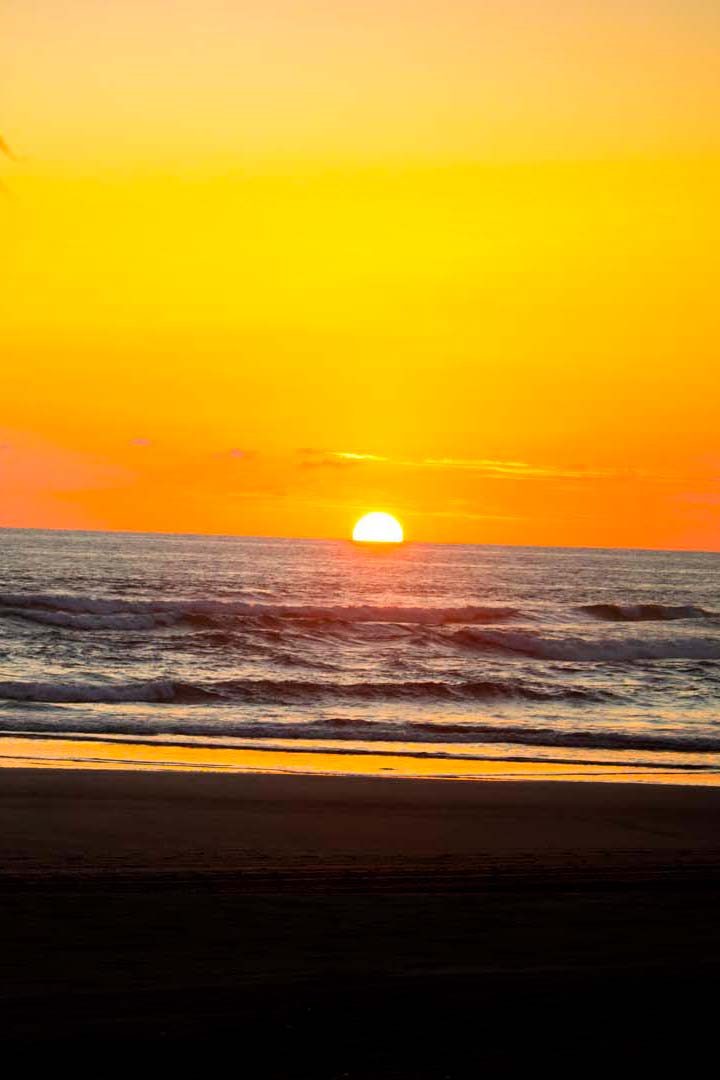 half_day_surf_clinic8
